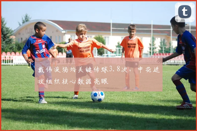 戴伟浚场均关键传球3.8次，申花进攻组织核心数据亮眼