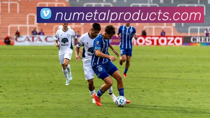 多彩内容专区